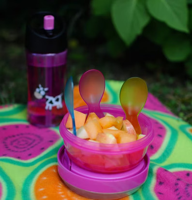 Bild av färgglad picknickscen med matlåda och flaska